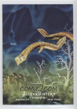 2011 Topps Allen & Ginter's - Ascent of Man #AOM 6 - Platyhelminthes