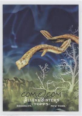 2011 Topps Allen & Ginter's - Ascent of Man #AOM 6 - Platyhelminthes