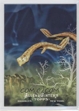 2011 Topps Allen & Ginter's - Ascent of Man #AOM 6 - Platyhelminthes