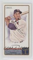 Nelson Cruz #/50