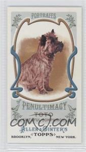 2011 Topps Allen & Ginter's - Portraits of Penultimacy Minis #PP10 - Toto