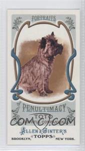 2011 Topps Allen & Ginter's - Portraits of Penultimacy Minis #PP10 - Toto