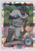 Cameron Maybin #/225