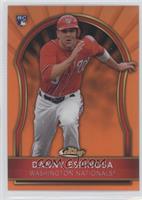 Danny Espinosa #/99