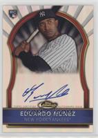 Eduardo Nunez #/499