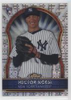 Hector Noesi #/299