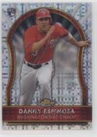 Danny Espinosa #/299