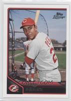 Tony Perez