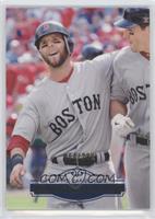 Dustin Pedroia #/299