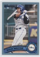 Wilin Rosario #/309