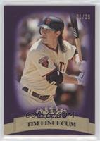 Tim Lincecum [EX to NM] #/25