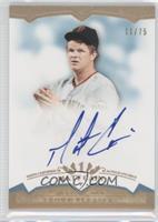 Matt Cain #/75