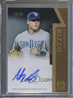 Anthony Rizzo #/25