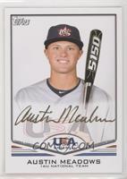 Austin Meadows #2/25