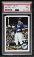 Anthony Rizzo [PSA 9 MINT]