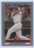 Xander Bogaerts #/500