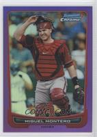 Miguel Montero #/199