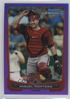 Miguel Montero #/199