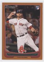 Will Middlebrooks #/250