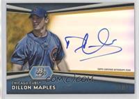 Dillon Maples #/50