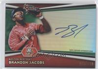 Brandon Jacobs #/399