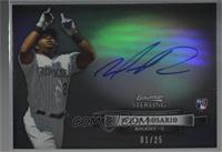Wilin Rosario [Noted] #/25