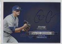 Gavin Cecchini