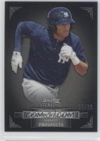 Mason Williams #/25