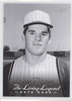 Pete Rose