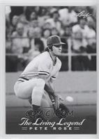 Pete Rose