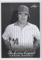 Pete Rose