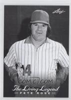 Pete Rose