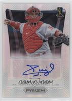 Carlos Ruiz #/25