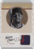 Nelson Cruz #/25