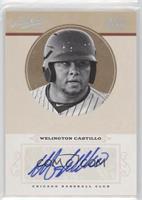 Welington Castillo #/25