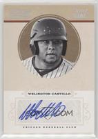 Welington Castillo #/25