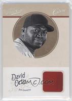 David Ortiz #/49