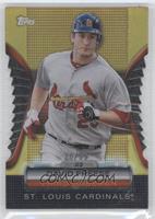 David Freese #/99