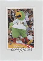 Pirate Parrot