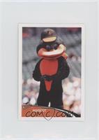 Baltimore Orioles Mascot