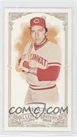 Johnny Bench