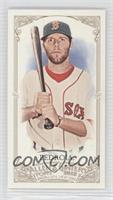 Dustin Pedroia