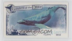 2012 Topps Allen & Ginter's - Giants of the Deep Minis #GD-1 - Humpback Whale