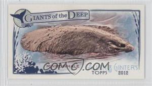 2012 Topps Allen & Ginter's - Giants of the Deep Minis #GD-12 - Minke Whale