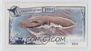 2012 Topps Allen & Ginter's - Giants of the Deep Minis #GD-15 - Bryde's Whale