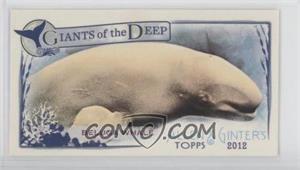 2012 Topps Allen & Ginter's - Giants of the Deep Minis #GD-5 - Beluga Whale