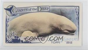 2012 Topps Allen & Ginter's - Giants of the Deep Minis #GD-5 - Beluga Whale