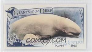 2012 Topps Allen & Ginter's - Giants of the Deep Minis #GD-5 - Beluga Whale