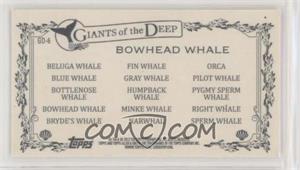 Bowhead-Whale.jpg?id=3d12a677-b06f-43d6-aee1-459b197a88b4&size=original&side=back&.jpg