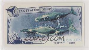 Bowhead-Whale.jpg?id=3d12a677-b06f-43d6-aee1-459b197a88b4&size=original&side=front&.jpg